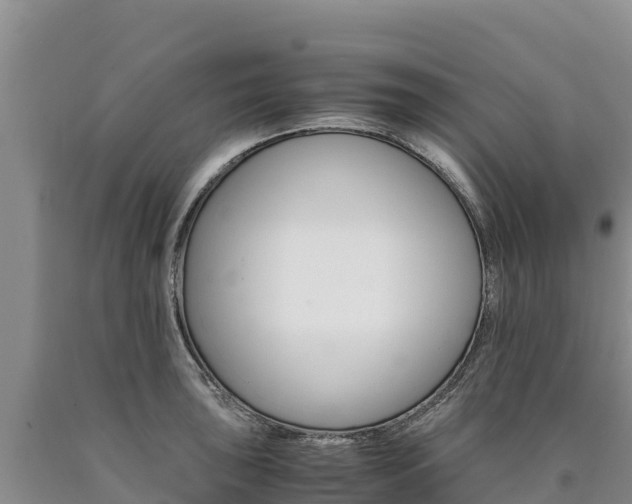 X0000090881043200707271012