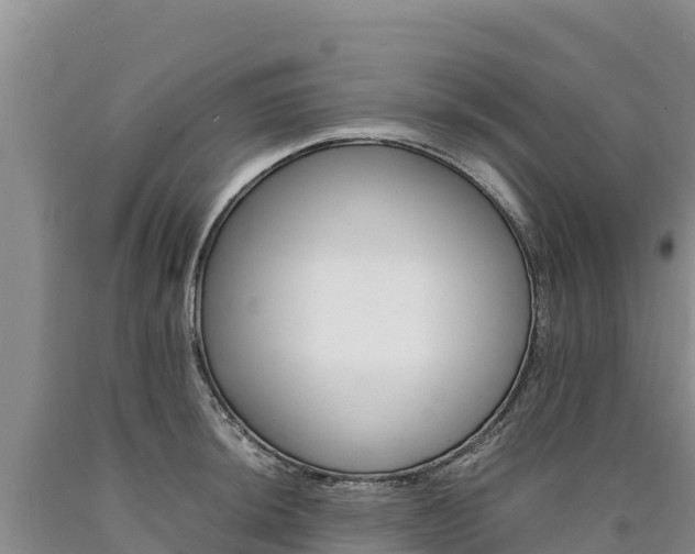 X0000090881044200707271012