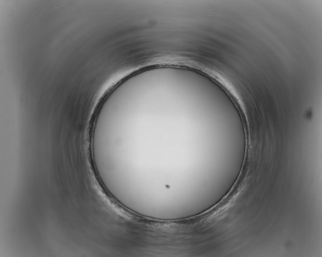 X0000090881045200707271012