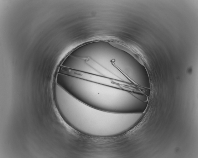 X0000090881046200707271012