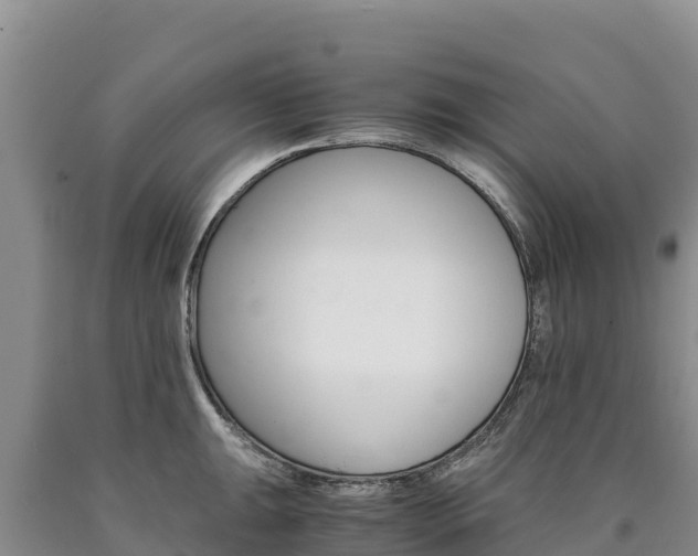 X0000090881047200707271012