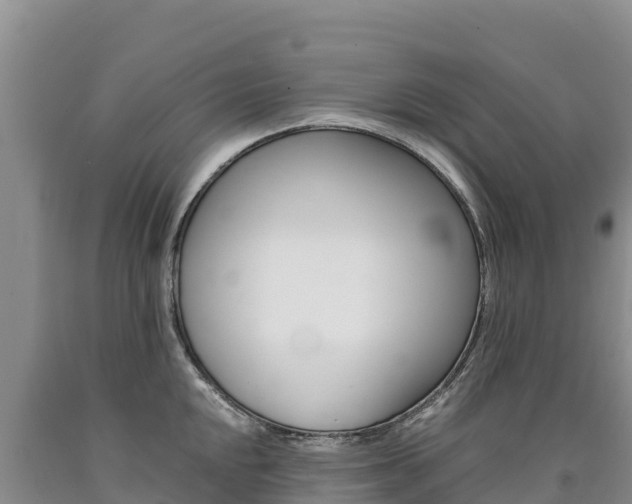 X0000090881048200707271012