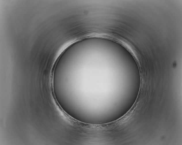 X0000090881050200707271012