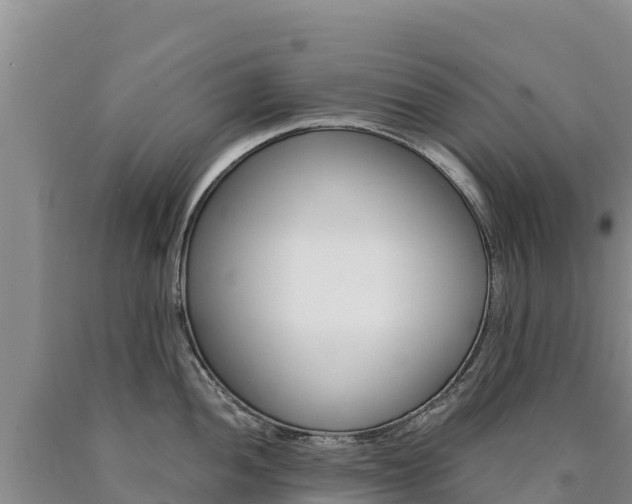 X0000090881052200707271012
