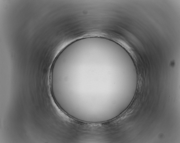 X0000090881055200707271012