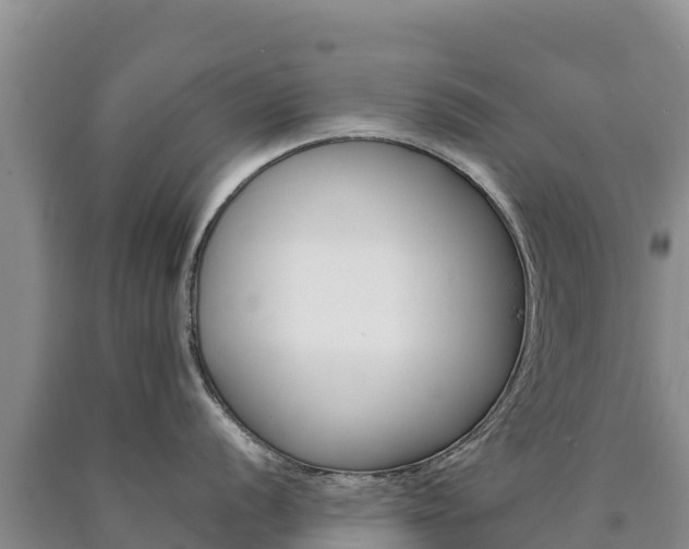 X0000090881056200707271012