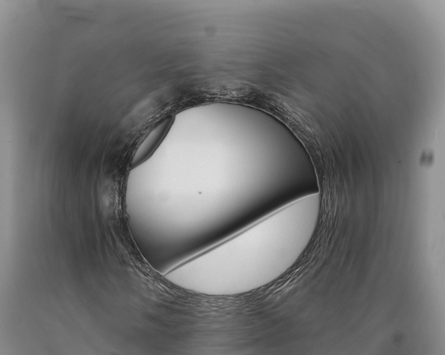X0000090881058200707271011