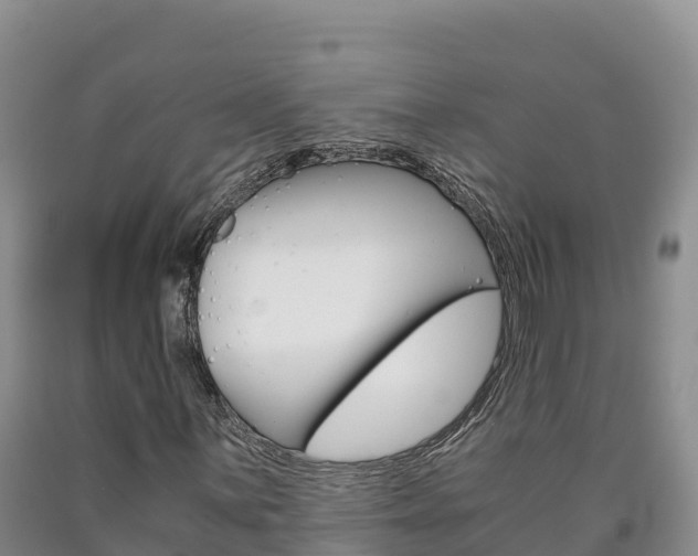 X0000090881059200707271011