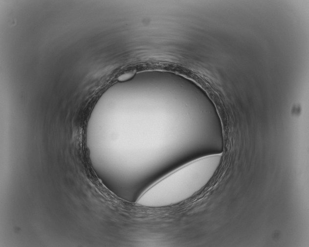 X0000090881061200707271011