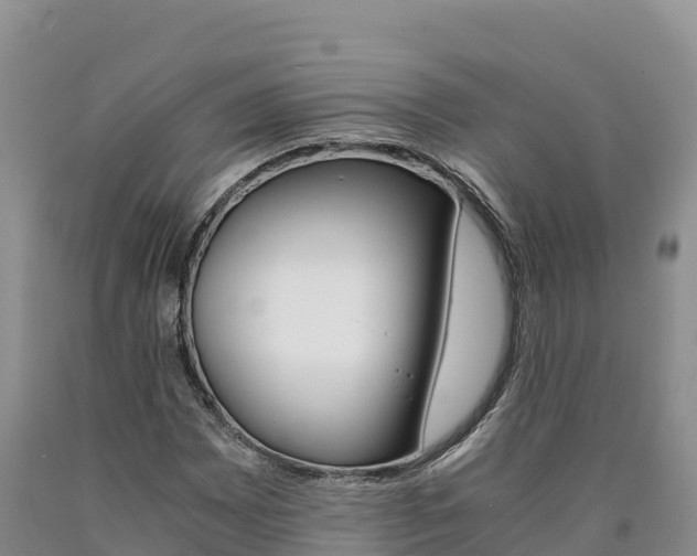 X0000090881065200707271011