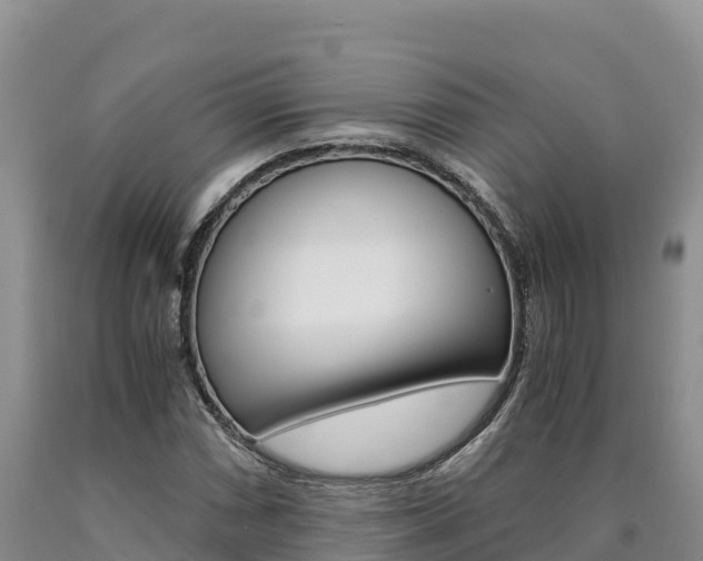 X0000090881066200707271011