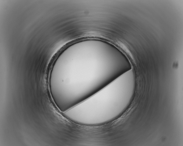 X0000090881068200707271011