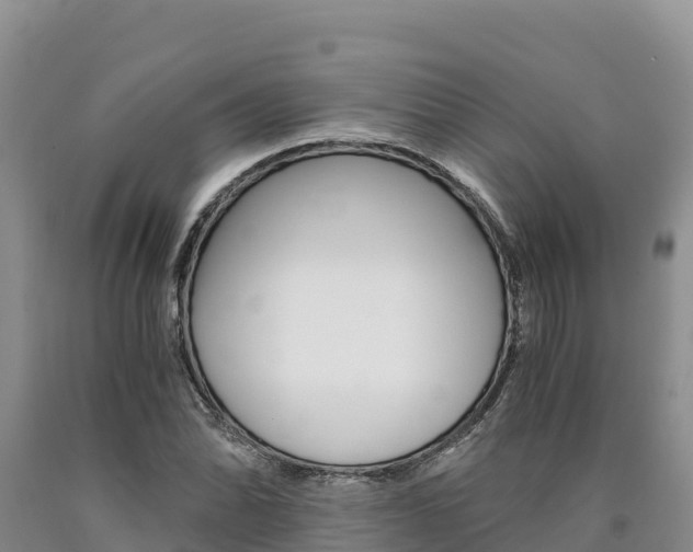 X0000090881070200707271011