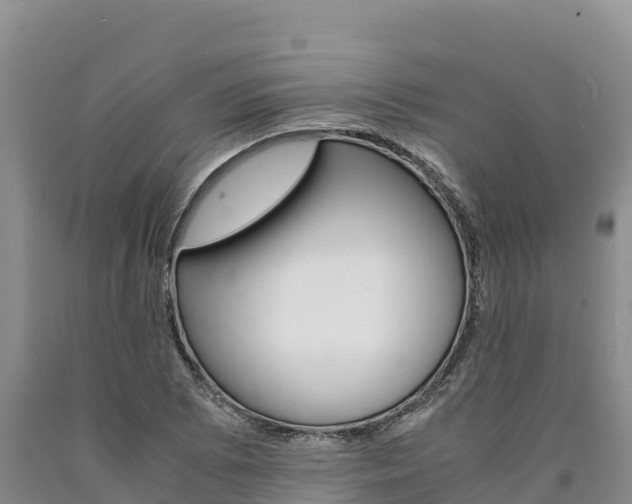 X0000090881073200707271011