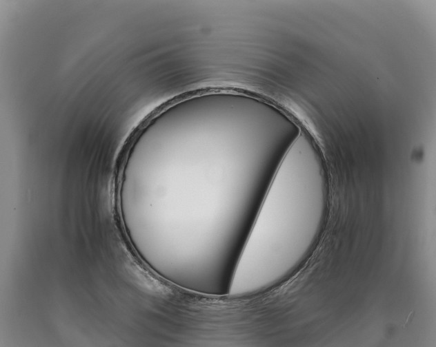 X0000090881076200707271011