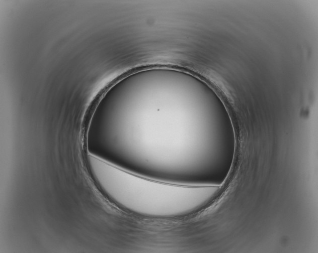 X0000090881077200707271011