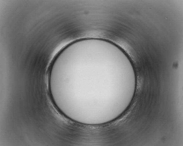 X0000090881078200707271011