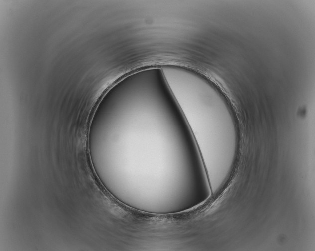 X0000090881081200707271011