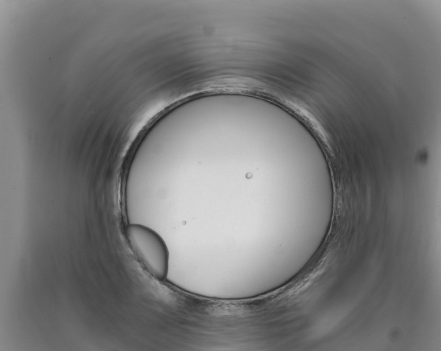X0000090881083200707271011