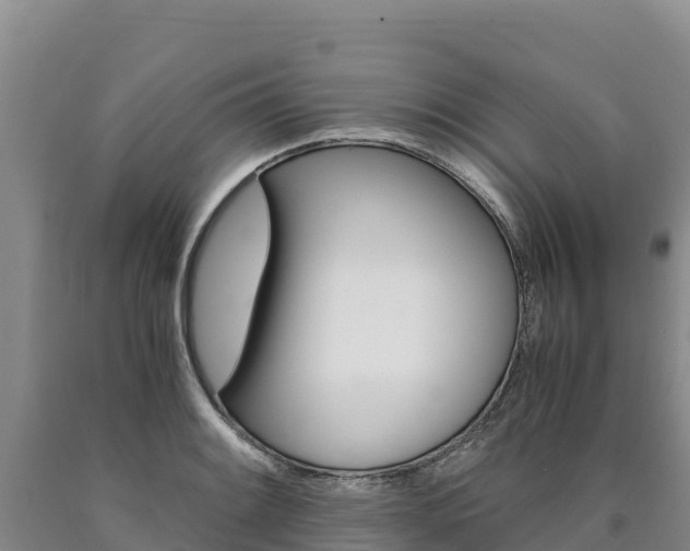 X0000090881084200707271011