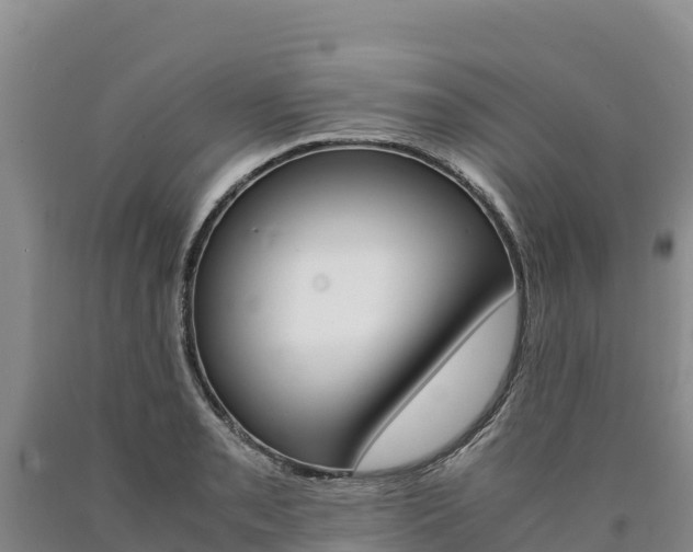 X0000090881085200707271011