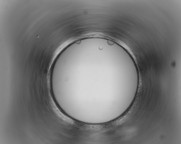 X0000090881090200707271011