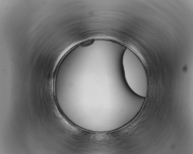 X0000090881092200707271011