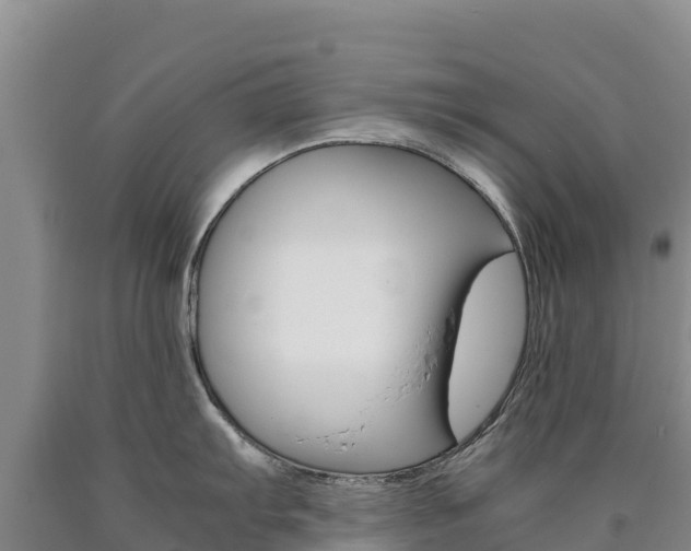 X0000090881103200707271011