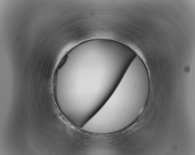 X0000090881104200707271011