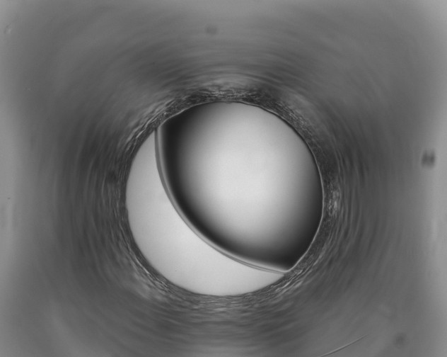 X0000090881108200707271010