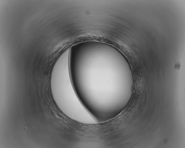 X0000090881110200707271010