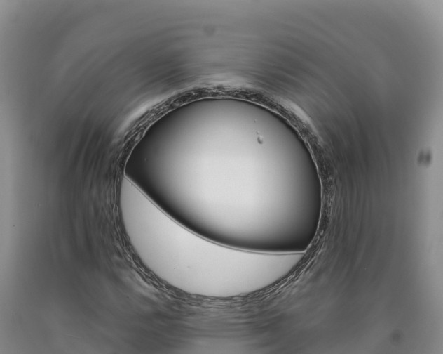 X0000090881112200707271010