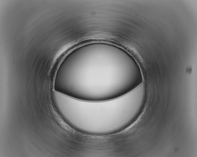 X0000090881114200707271010