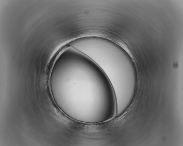 X0000090881116200707271010