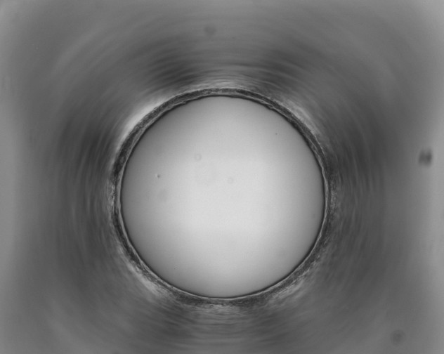X0000090881119200707271010