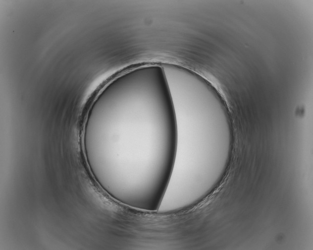 X0000090881120200707271010