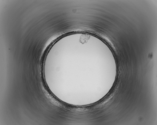 X0000090881122200707271010