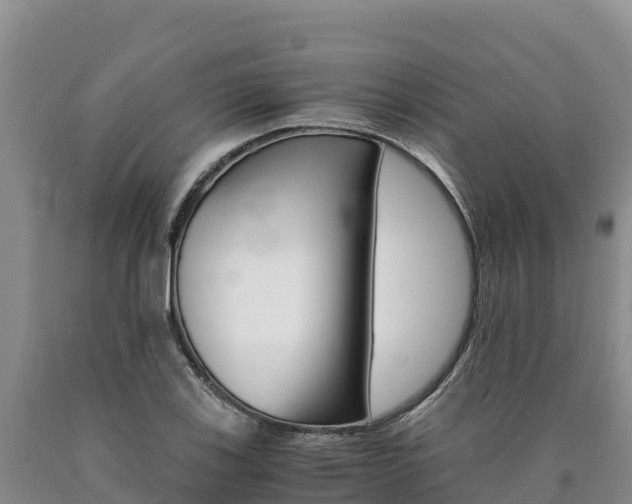 X0000090881123200707271010