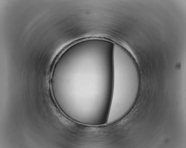 X0000090881124200707271010