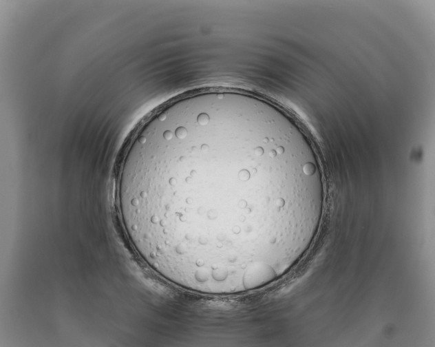 X0000090881125200707271010