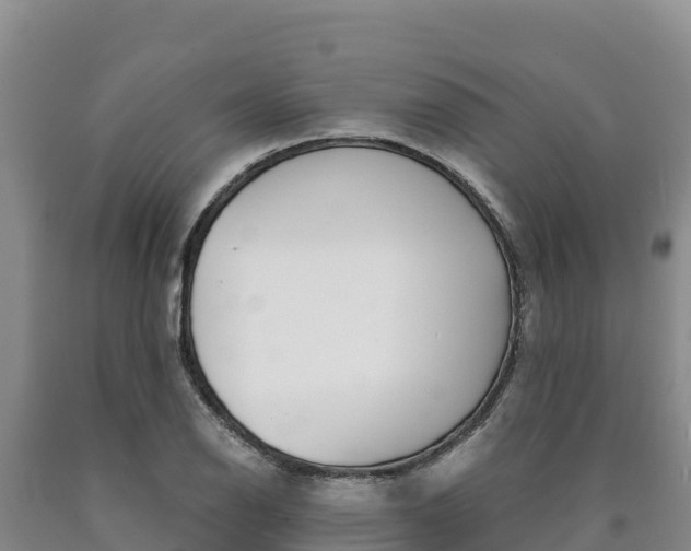 X0000090881126200707271010