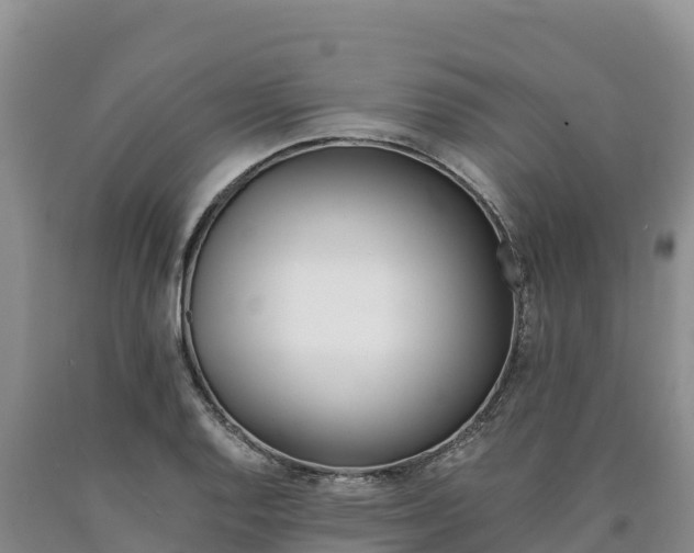 X0000090881128200707271010