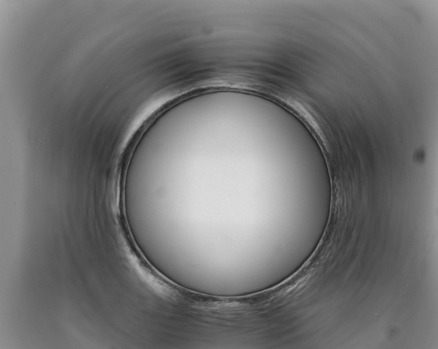 X0000090881131200707271010