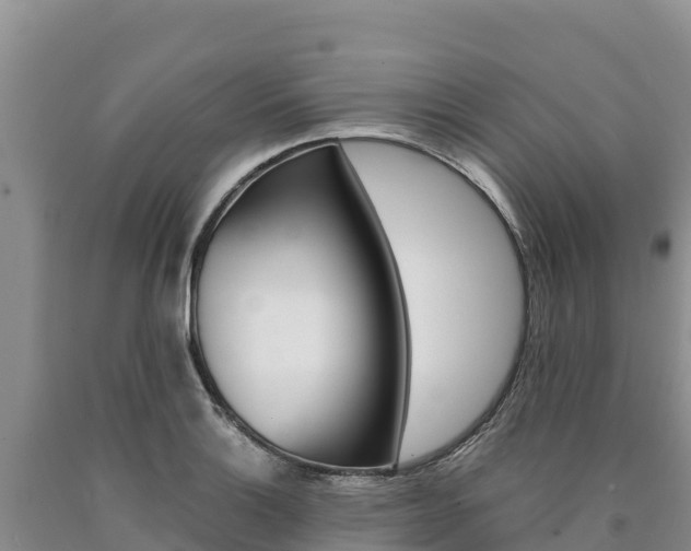 X0000090881132200707271010