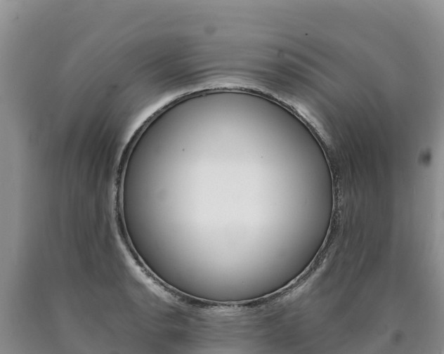 X0000090881134200707271010