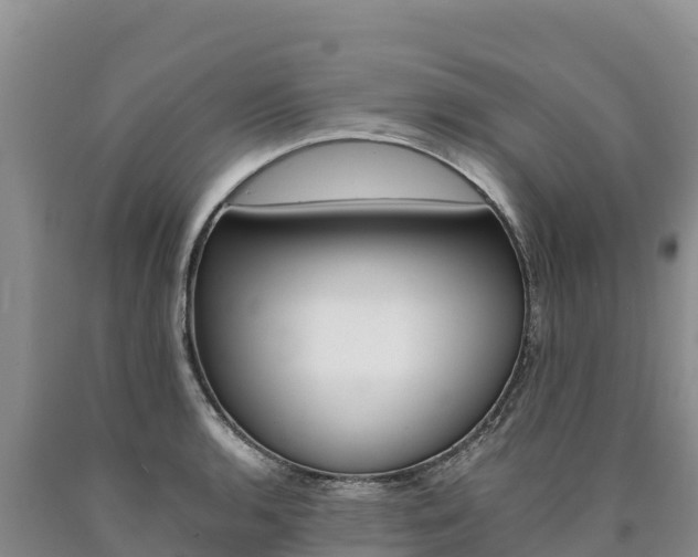 X0000090881136200707271010