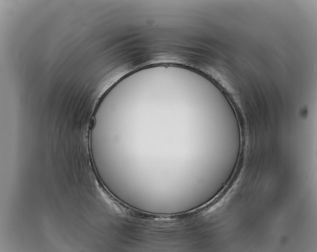 X0000090881137200707271010