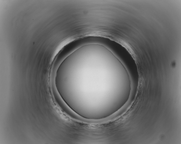X0000090881138200707271010
