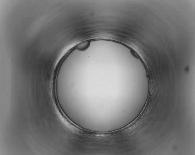 X0000090881139200707271010