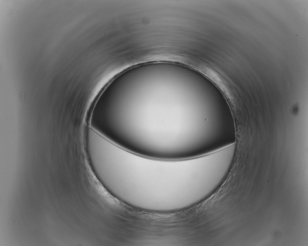 X0000090881140200707271010
